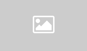 test web.jpg
